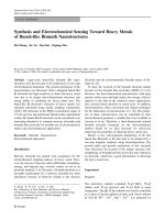 Báo cáo hóa học: 