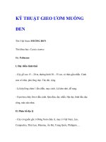 KỸ THUẬT GIEO ƯƠM MUỒNG ĐEN docx