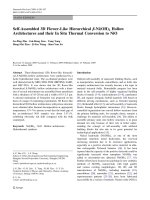 Báo cáo hóa học: 