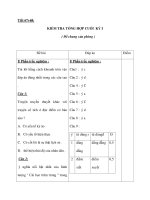 Tiết 67+68: KIỂM TRA TỔNG HỢP CUỐI KỲ I docx