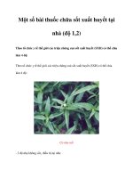 Một số bài thuốc chữa sốt xuất huyết tại nhà (độ 1,2) docx