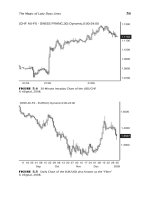 Guide Trading Forex on Five Hours a Week_2 pptx