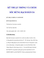 KỸ THUẬT TRỒNG VÀ CHĂM SÓC RỪNG BẠCH ĐÀN U6 ppt