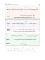 Insecticides Basic and Other Applications Part 3 docx