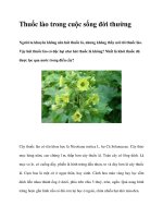 Thuốc lào trong cuộc sống đời thường pdf