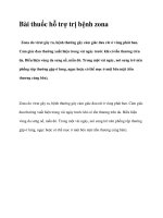 Bài thuốc hỗ trợ trị bệnh zona potx