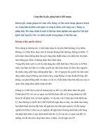 Lòng dân là gốc, pháp luật là đối tượng pptx