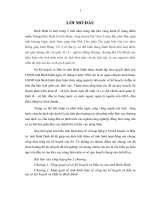 báo cáo tổng hợp sở kế hoạch đầu tư tỉnh bình định potx