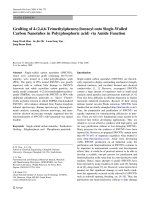 Báo cáo hóa học: 