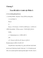 Chương 5 Trao đổi chất ở vi sinh vật (Phần 1) pot