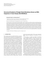 Báo cáo hóa học: 