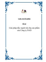 Đề tài: “Giải pháp đẩy mạnh tiêu thụ sản phẩm của Công ty DAD ” pot