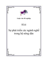 Đề tài: Sự phát triển các ngành nghề trong hộ nông dân pptx