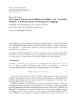 Báo cáo hóa học: 