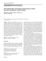 Báo cáo hóa học: 