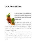 Salad Không Giới Hạn docx