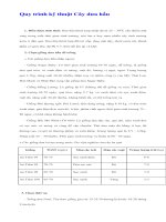 Quy trình kỹ thuật Cây dưa hấu doc