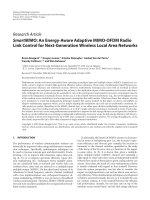 Báo cáo hóa học: 