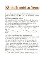 Kỹ thuật nuôi cá Ngựa pot