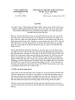 Chỉ thị số 03/CT-UBND pptx