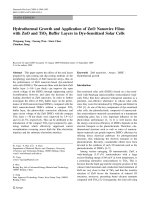 Báo cáo hóa học: 