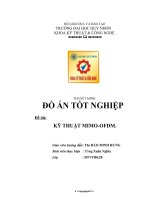 kỹ thuật mimo-ofdm và đánh giá chất lượng hệ thống