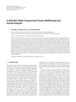 Báo cáo hóa học: 