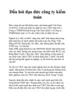 Dấu hỏi đạo đức công ty kiểm toán pot