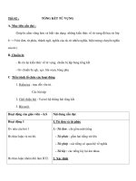 Tiết 42 : TỔNG KẾT TỪ VỰNG pdf