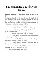 Bảy nguyên tắc dạy tốt ở bậc đại học doc