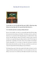 Hoạt động chất vấn từ góc nhìn của cử tri pdf