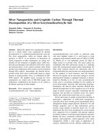 Báo cáo hóa học: 