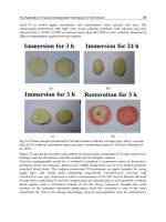 Scientific, Health and Social Aspects of the Food Industry Part 3 pot