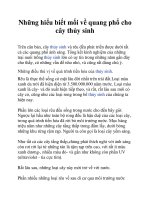 Những hiểu biết mối về quang phổ cho cây thủy sinh potx