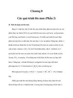 Chương 8 Các quá trình lên men (Phần 2) doc