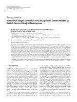 Báo cáo hóa học: 