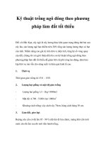 Kỹ thuật trồng ngô đông theo phương pháp làm đất tối thiểu potx