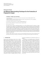 Báo cáo hóa học: 