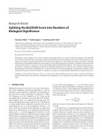 Báo cáo hóa học: 