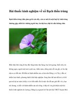 Bài thuốc kinh nghiệm về xổ Bạch thốn trùng pdf