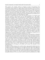 Acute Ischemic Stroke Part 2 pdf