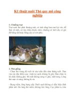 Kỹ thuật nuôi Thỏ quy mô công nghiệp potx