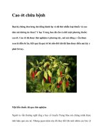 Cao ớt chữa bệnh potx