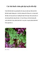 Các bài thuốc chữa phì đại tuyến tiền liệt ppt