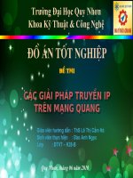 các giải pháp truyền ip trên mạng quang