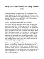 Dòng luân chuyển của nước trong hồ thủy sinh pptx