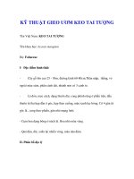 KỸ THUẬT GIEO ƯƠM KEO TAI TƯỢNG docx