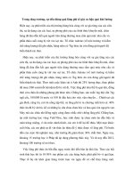 Trong tăng trưởng, sự tiêu dùng quá lãng phí sẽ gây ra hậu quả khó lường ppt