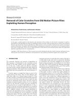 Báo cáo hóa học: 