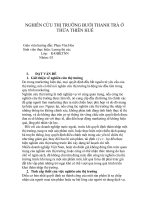 NGHIÊN CỨU THỊ TRƯỜNG BƯỞI THANH TRÀ Ở docx